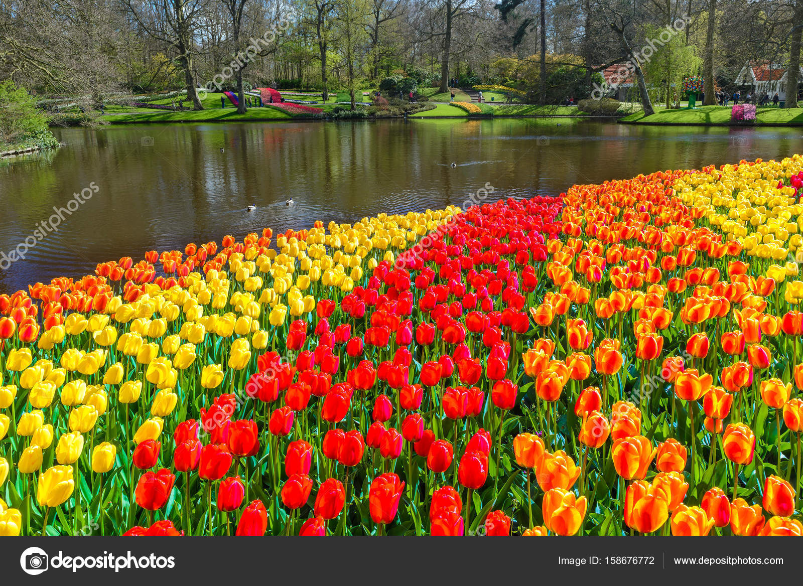 Jardín de tulipán en keukenhof, Países Bajos — Fotos de Stock