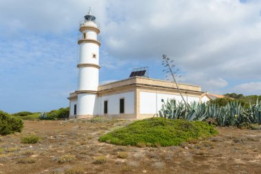 Cap de Ses Salines fenerinde. Majorca, İspanya