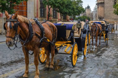 Atlı arabaları Sevilla, İspanya