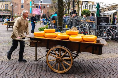 Alkmaar, Hollanda Hollanda peynir pazarı