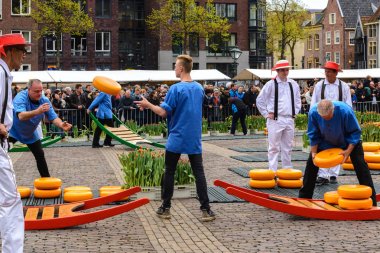Alkmaar, Hollanda Hollanda peynir pazarı
