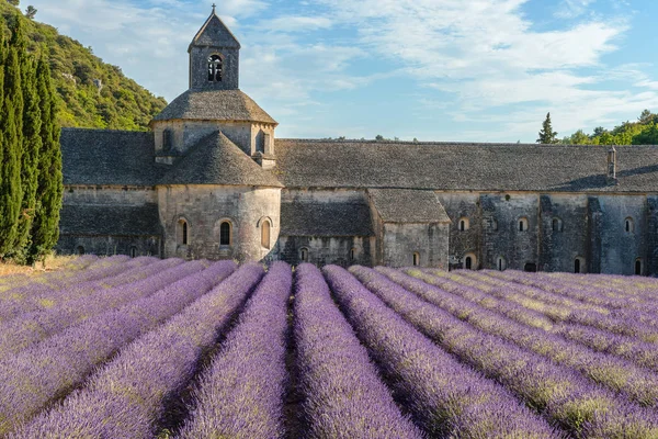 Abadía de Senanque con campo de lavanda, Provenza, Francia — Foto de Stock