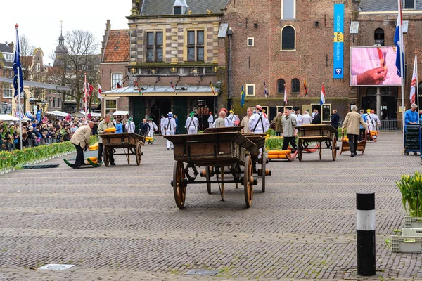 Mercado holandés de quesos en Alkmaar, Holanda — Foto de Stock