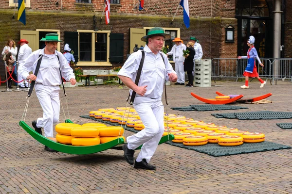 Nederländska ostmarknaden i Alkmaar, Nederländerna — Stockfoto