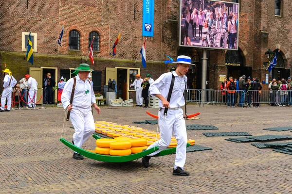 Nederländska ostmarknaden i Alkmaar, Nederländerna — Stockfoto