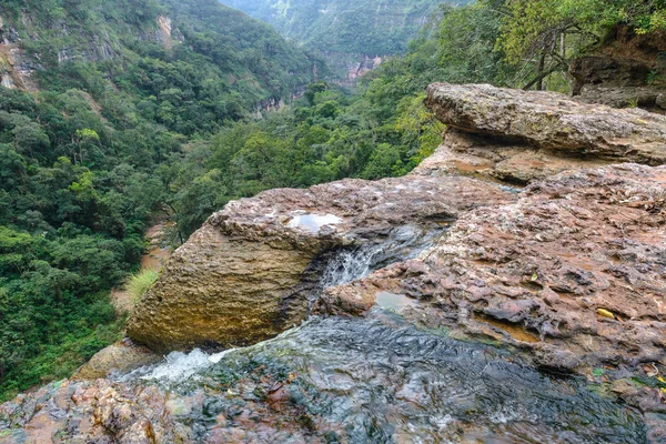 Jardin de las Delicias (Garden of Delights) at Amboro National Park, Santa Cruz, Bolivia — Stock Photo, Image