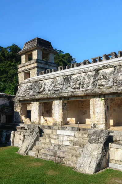 Het Paleis Oude Maya Stad Van Palenque Mexico — Stockfoto