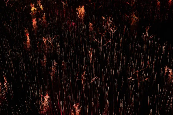 Abstracte achtergrond, droog gras verlicht door magie licht — Stockfoto