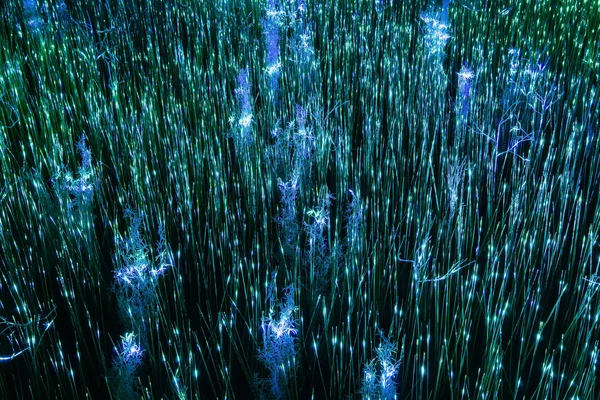 Fond abstrait, herbe sèche éclairée par la lumière magique — Photo