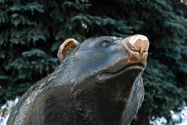 head of a bear statue in Perm, Russia, close-up