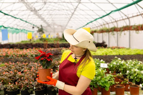 Женщина садовница в оранжерее с комнатными растениями — стоковое фото