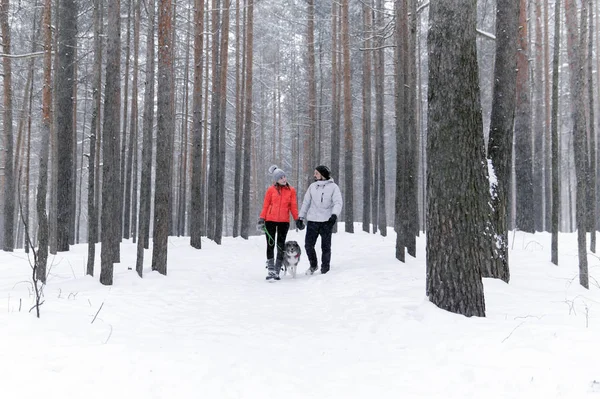 Junges Paar geht mit Hund im Winterwald spazieren — Stockfoto