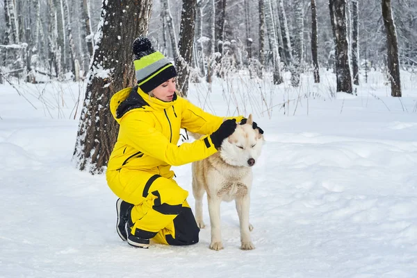 Žena hladí husky psa v zimním lese — Stock fotografie