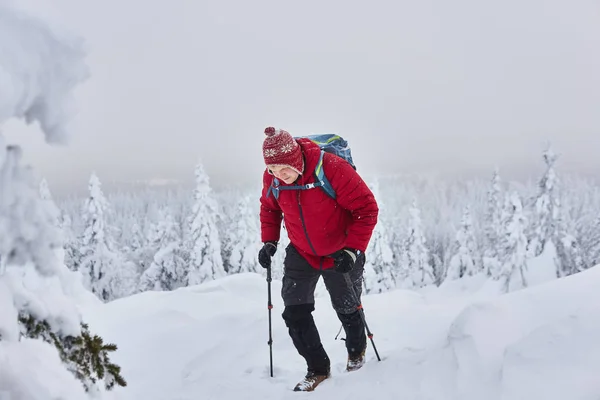 Viajero masculino sube una montaña durante una nevada —  Fotos de Stock