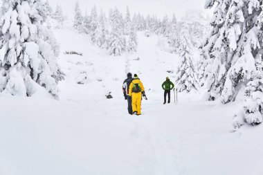 Kış ormanlarında bir grup turist