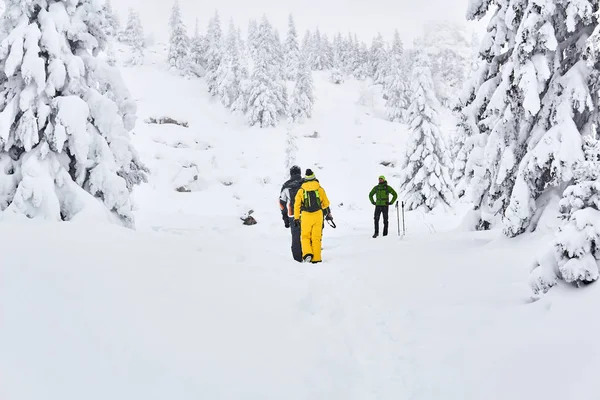 Touristengruppe im winterlichen Bergwald — Stockfoto