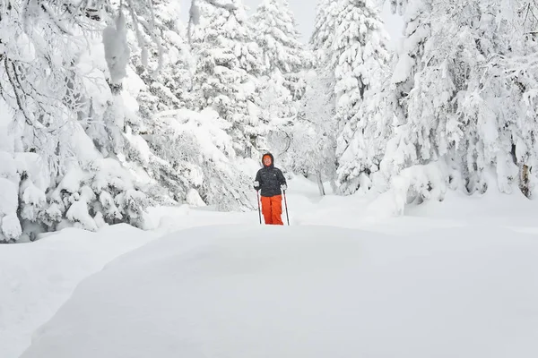 Frau unternimmt Trekking im verschneiten Winterwald — Stockfoto