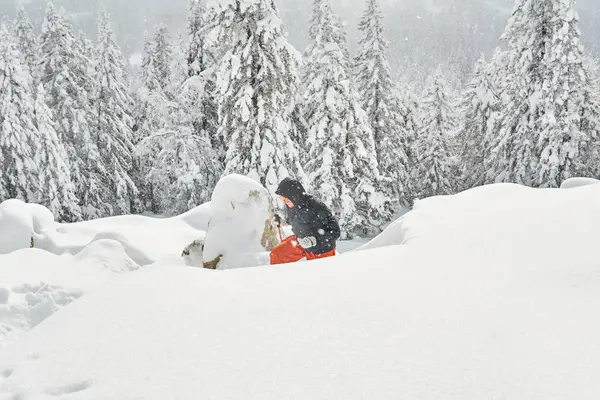 Kobieta jest zaangażowana w trekking w górach zimowych — Zdjęcie stockowe