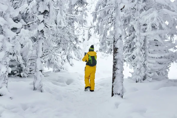 Senderista mujer camina a través de un bosque de invierno mirando en un handhel — Foto de Stock