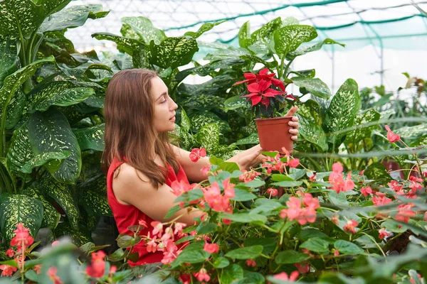 Niña Vestido Rojo Medio Flores Rojas Exuberante Vegetación Verde Admira — Foto de Stock