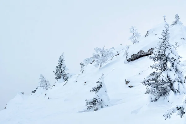 Zimowy Krajobraz Górski Wzgórze Drzewami Klifami Pokrytymi Śniegiem — Zdjęcie stockowe
