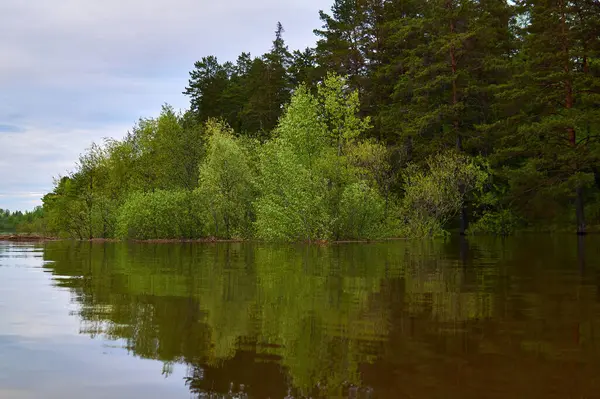 Beboste Rivieruiterwaarden Overstroomd Tijdens Lente Hoogwater — Stockfoto