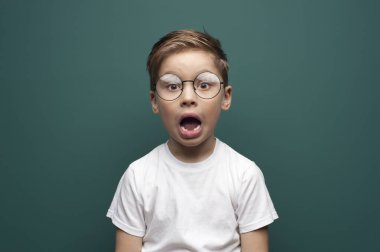 Portrait of a cute little boy with glasses looks into the camera posing on on green background
