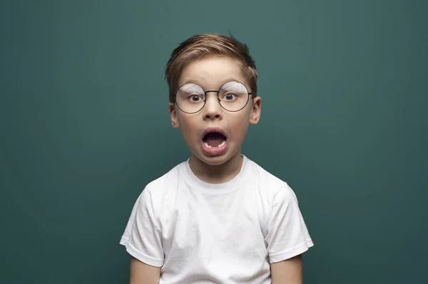 Portrait of a cute little boy with glasses looks into the camera posing on on green background — 스톡 사진
