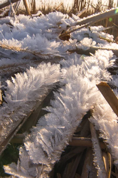 Vackra isflingor och rimfrostflingor — Stockfoto