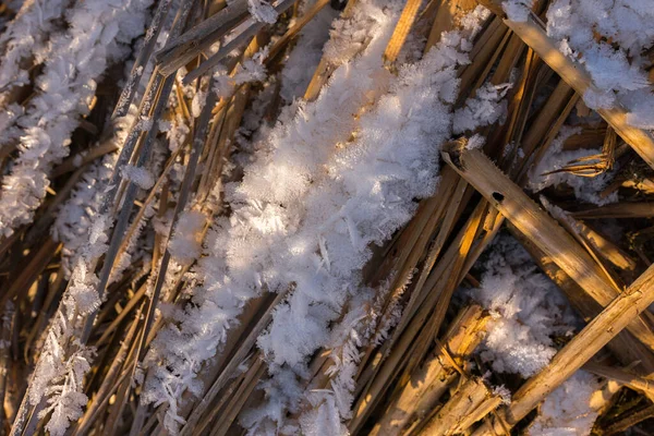 霜の氷とフレークのトップビュー — ストック写真