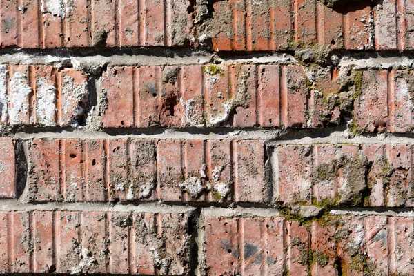 赤いレンガの壁のテクスチャ。ブロックの背景、デザインパターン — ストック写真