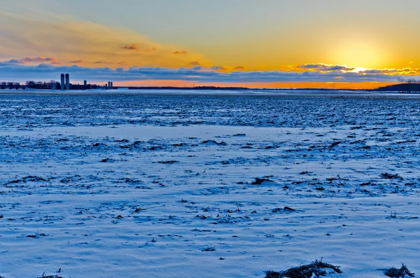 Foto van de sneeuw-veld — Stockfoto