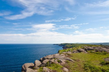 Newfoundland kıyıları