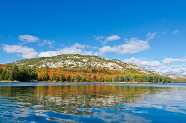 Orman göl üzerindeki gündoğumu