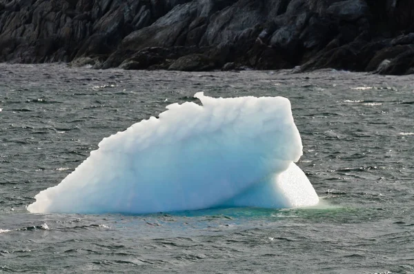 Iceberg bianco brillante — Foto Stock
