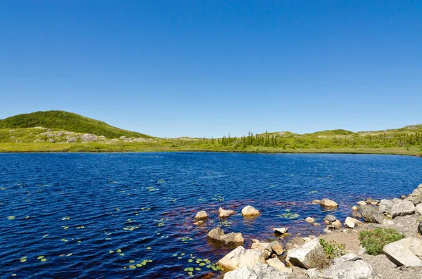 Lake. Newfoundland. Canada. — Stockfoto