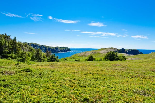 Newfoundland landscape. Canada. — Stock Photo, Image