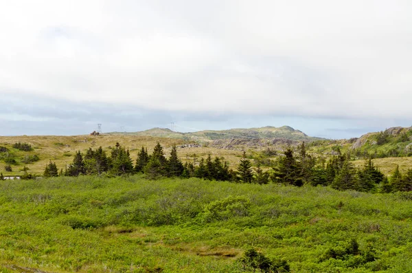 Newfoundland manzara. Kanada.