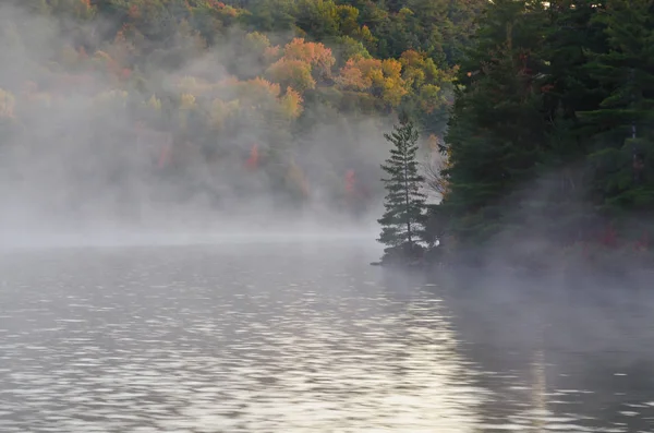 森の湖の上の日の出 — ストック写真