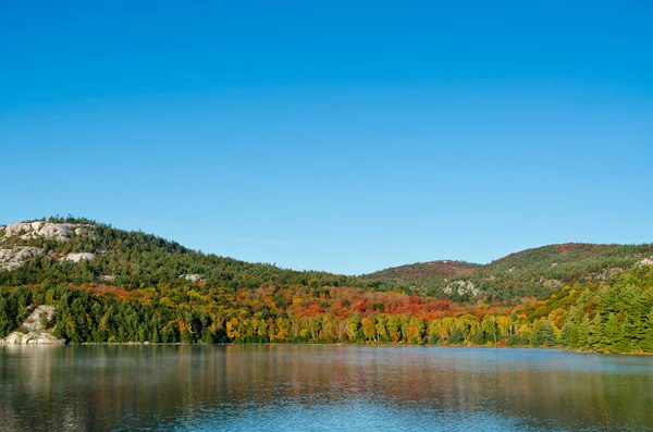 Zonsopgang boven forest lake — Stockfoto