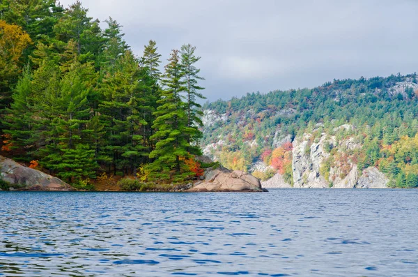 Salida del sol sobre el lago del bosque — Foto de Stock