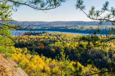 Algonquin Park renkli ağaçlar