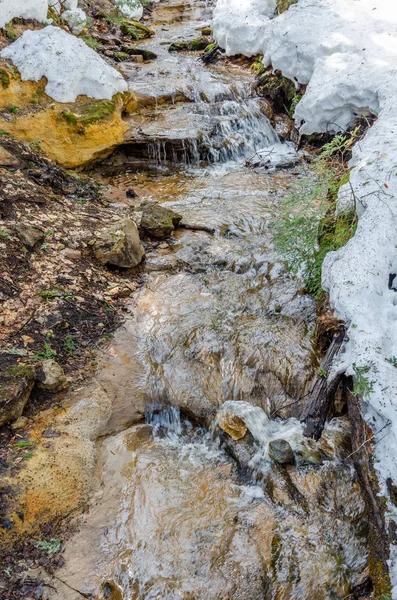 Piccolo ruscello nel Michigan . — Foto Stock