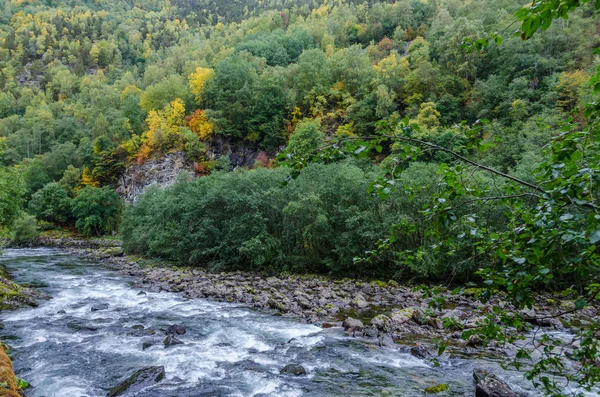 Mountain floden. Norge. — Stockfoto