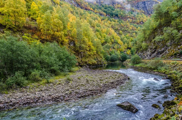 Górskie rzeki. Norwegia. — Zdjęcie stockowe