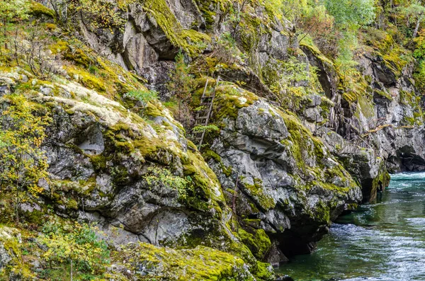 Mountain floden. Norge. — Stockfoto