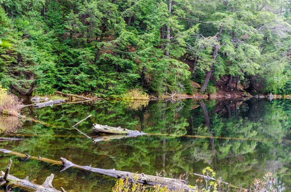 Lago no parque algonquin — Fotografia de Stock