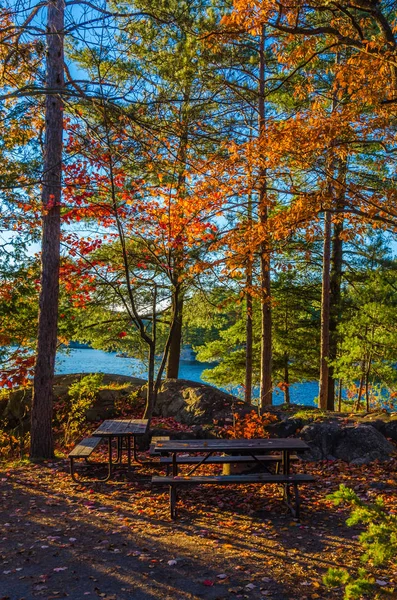 Kleurrijke bomen in Killarney Park — Stockfoto