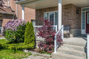  Pembe veya mor Lila flowe