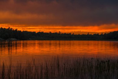 Yukarıda orman göl günbatımı